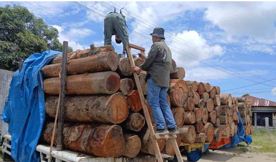 PN Medan Tolak Praperadilan Kasus Kayu Ilegal, Tersangka Segera Disidangkan