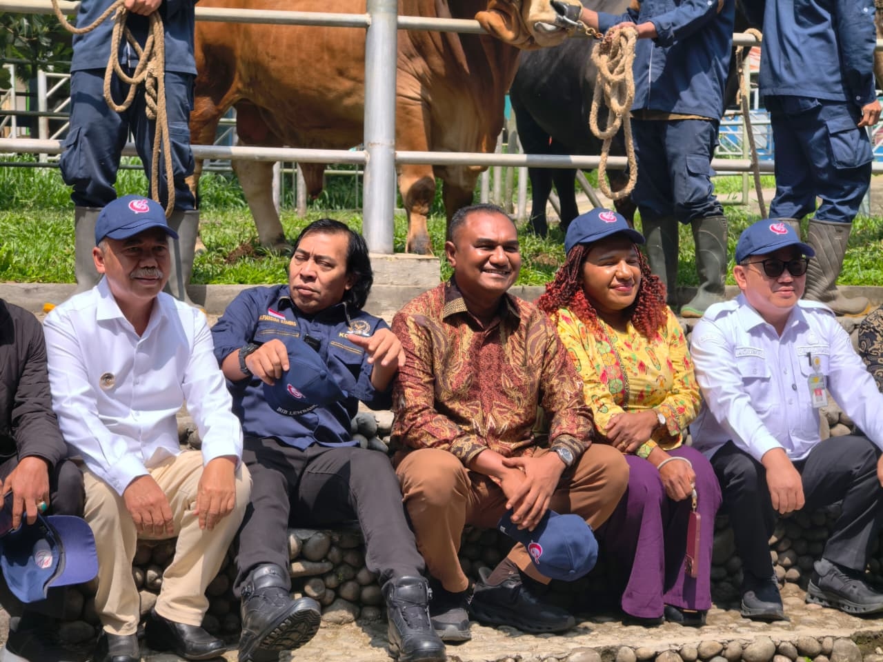Usung Gerakan Senator Inseminator, Angelo Wake Kako Dorong Swasembada Daging dan Susu Nasional