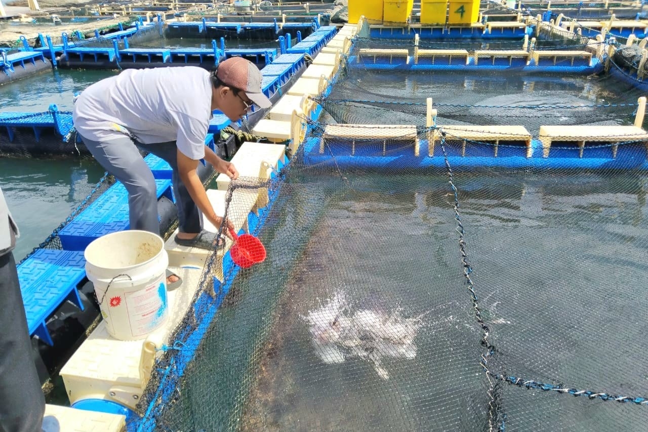 Dari Lahan Terbengkalai Jadi Harapan Baru, Kisah Tuah Bersatu di Pulau Kundur
