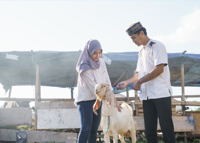 Jangan Melanggar! Ini Larangan Bagi Orang yang Hendak Berkurban di Idul Adha 2026