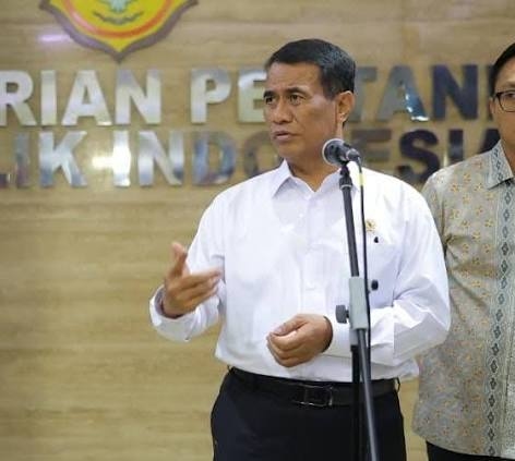 Harga Telur Anjlok di Bawah HAP, Pemerintah Perkuat Intervensi Pasar