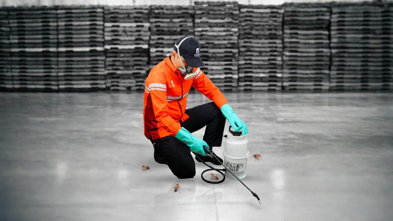 Pengendalian Hama Profesional ecoCare Pest Control Andalkan Sistem Terintegrasi dan Standar ISO