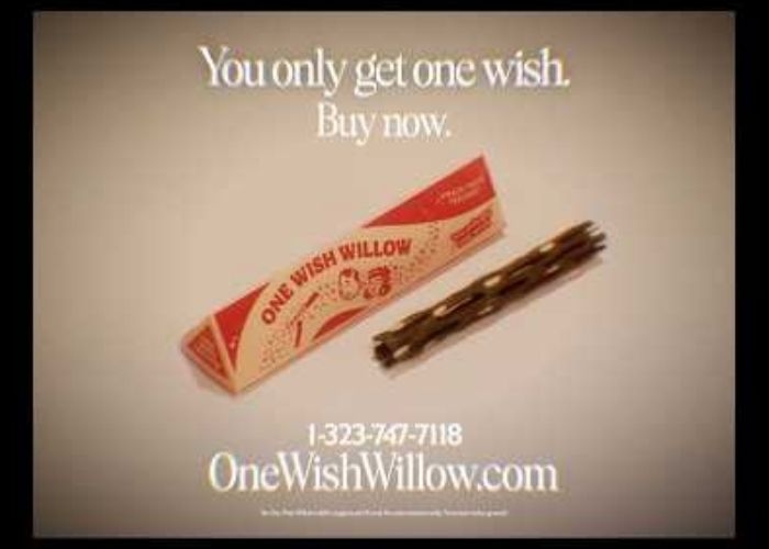 Apa Itu One Wish Willow? Mengenal Ranting Pengabul Permintaan dalam Film Obsession yang Viral
