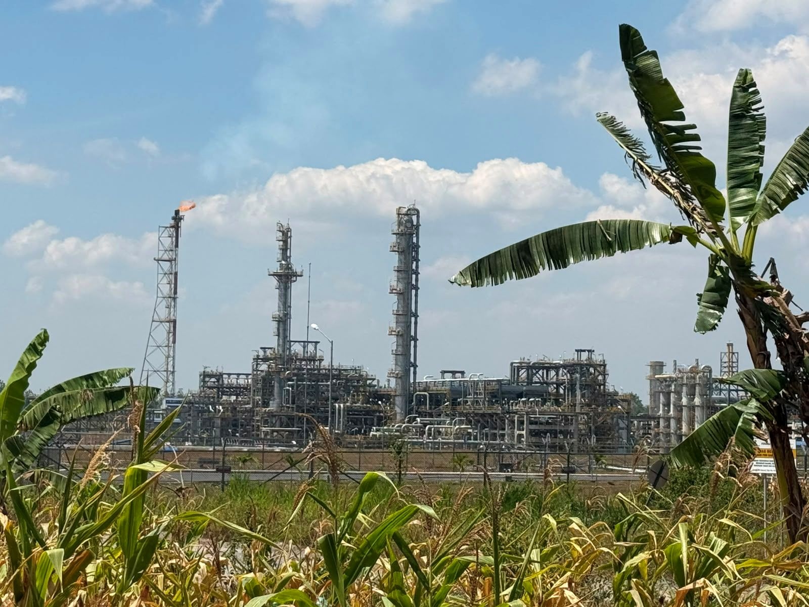 Produksi Gas JTB Tembus 298 MMSCFD, Lampaui Target 2026