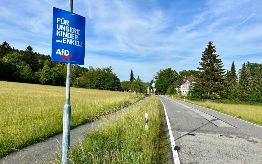 Apa Itu AfD? Memahami Partai Sayap Kanan Jerman yang Kini Makin Kuat