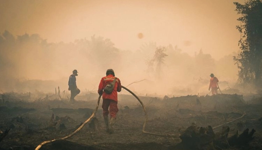 Petugas dan Relawan Karhutla Berguguran, Keselamatan Harus Jadi Prioritas