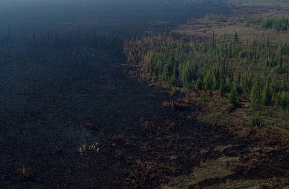 Kenapa Hutan Hujan Memiliki Kelembapan Sangat Tinggi? Ini Penjelasannya