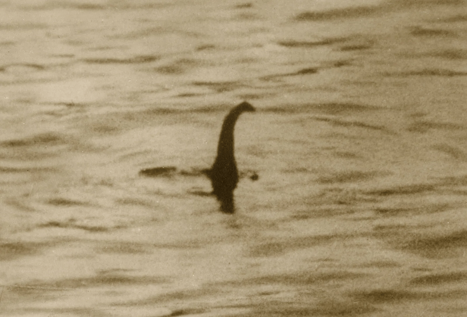 Apa Itu Monster Loch Ness? Ratusan Orang Berbondong-bondong Mencarinya