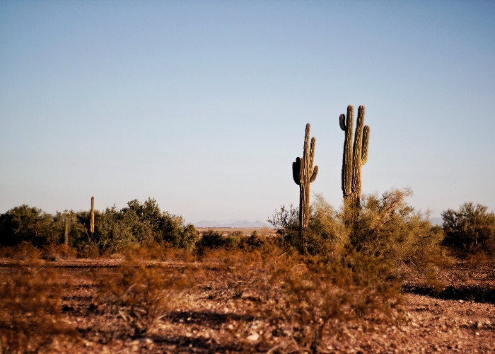Keadaan Makin Buruk, Sekarang Bumi Mengalami Global Boiling