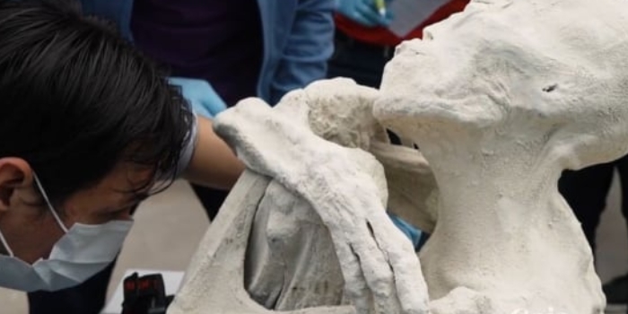 Viral, Mayat Alien Berjari Tiga Berusia 1.800 Tahun Dipamerkan Peneliti UFO