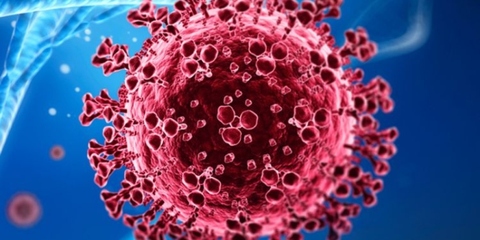 Picu Kematian, Kenali Gejala-gejala Virus Nipah