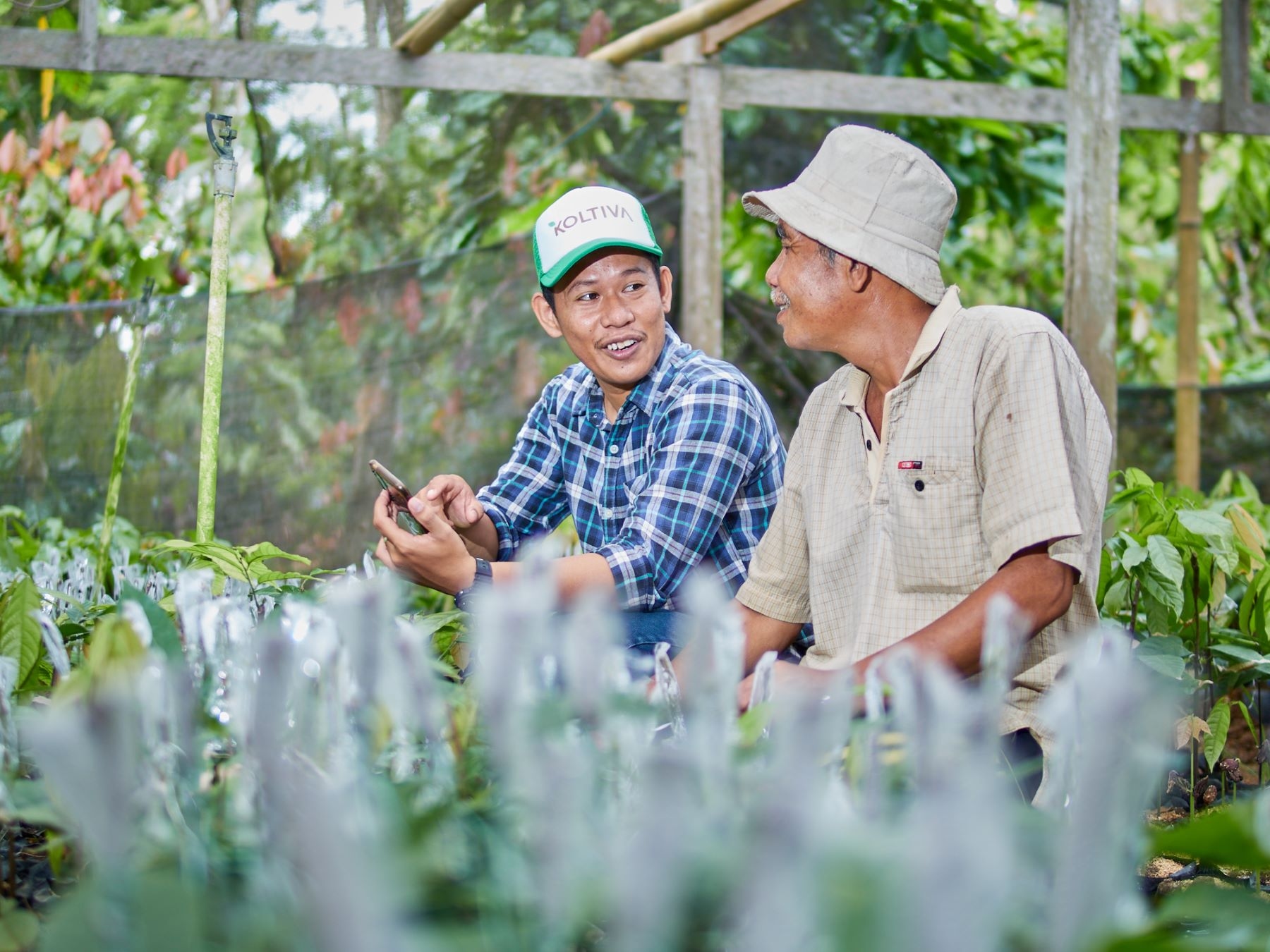 Koltiva Dapat Pendanaan Seri A Yang Dipimpin Oleh AC Ventures