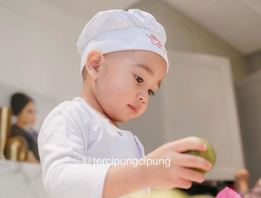 Adenovirus, Penyakit Yang Menyerang Rayyanza Hingga Rawat Inap Di RS