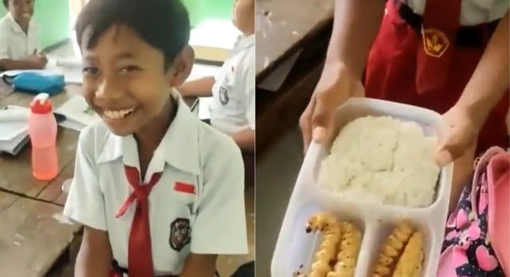 Bocah SD Bawa Bekal Lauk Ulat Sagu Goreng, Respons Guru Menyakitkan Hati Anak Muridnya