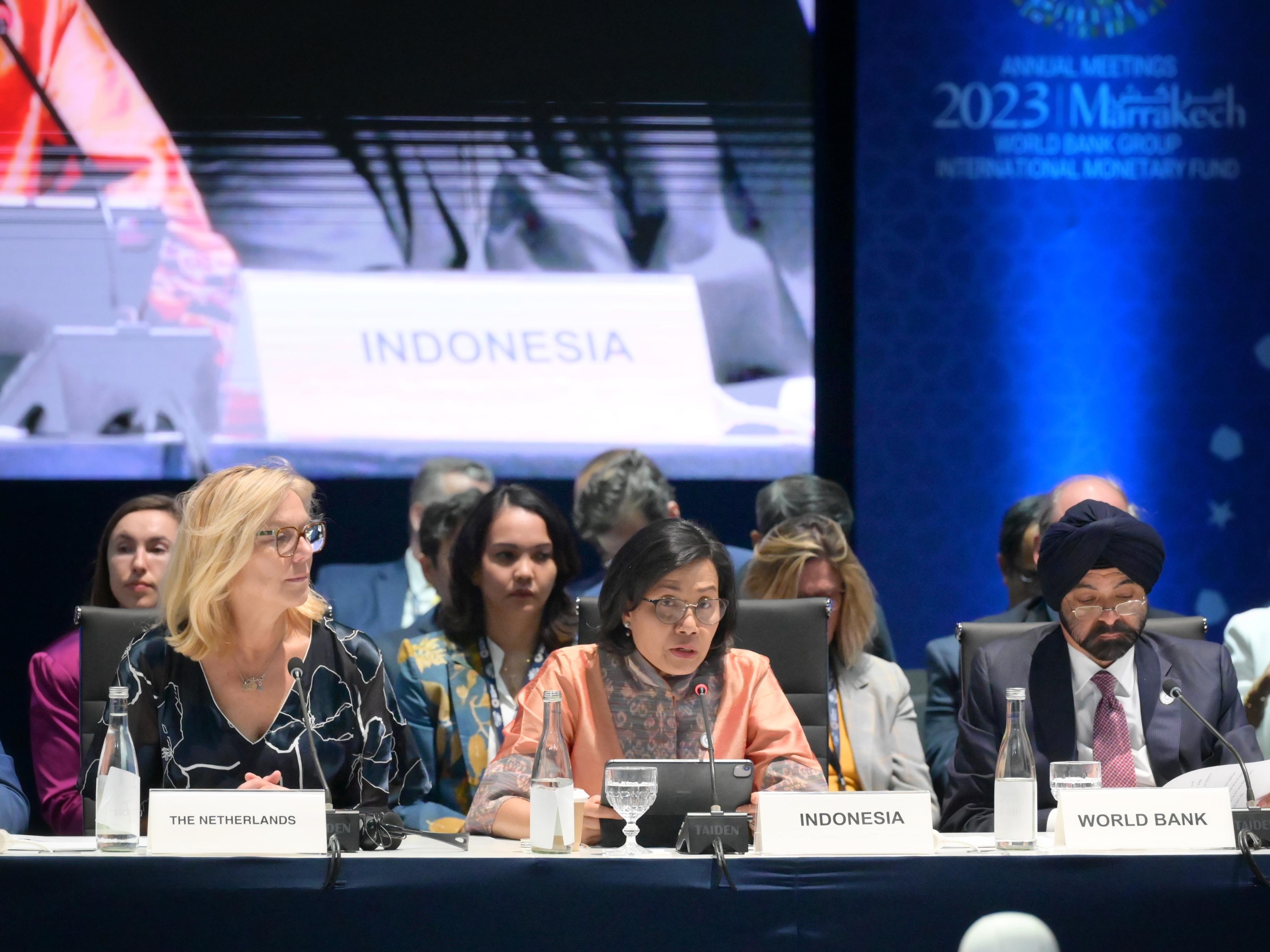 Menkeu Sedunia Bahas Permasalahan Iklim, Singgung 3 Hal Ini