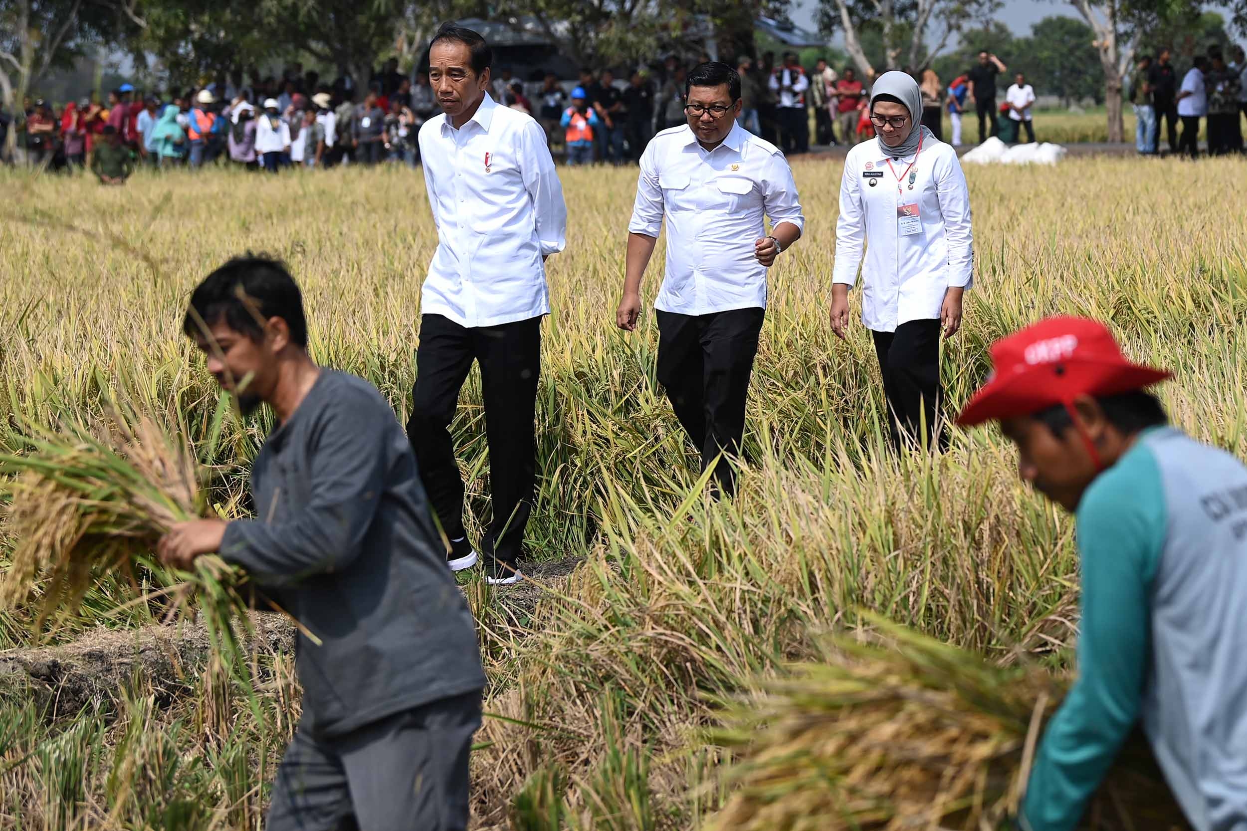 Menurut Kalian Bagaimana Caranya untuk Memenuhi Kebutuhan yang Tidak Tersedia dari Lingkungan Sekitar Kita?