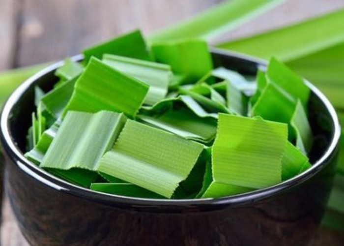 Tak Hanya Bikin Harum Masakan, Ini 5 Manfaat Daun Pandan Untuk Kesehatan Yang Jarang Diketahui