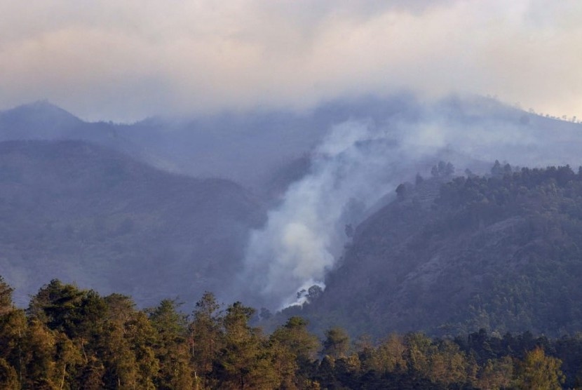5 Fakta Kebakaran Hutan Gunung Merbabu, 400 Hektare Lahan Terbakar Dan 5 Jalur Pendakian Ditutup