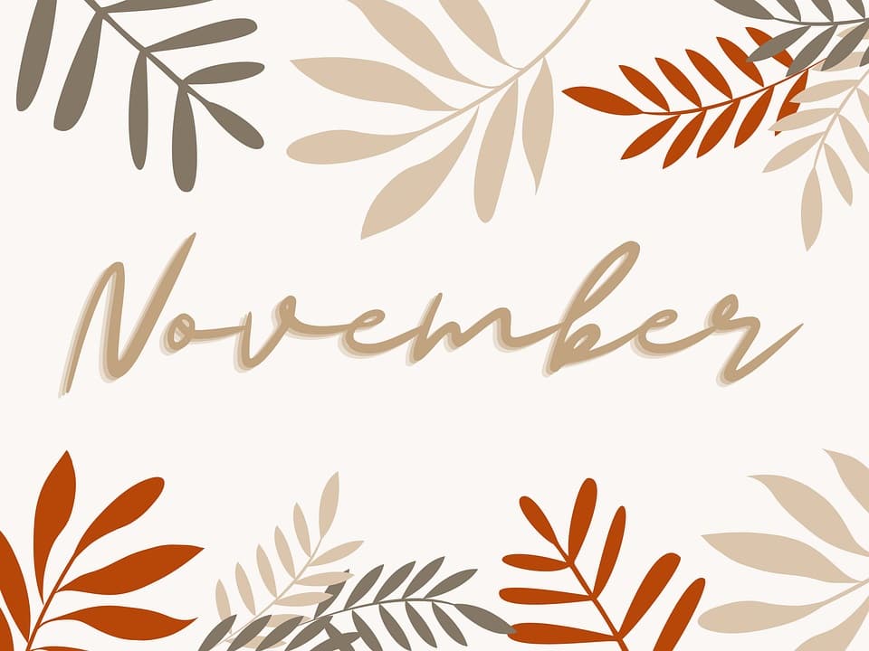 Sambut Bulan November, Ini 30 Kata-Kata Bijak Penuh Harapan Yang Cocok Dijadiin Status Medsos