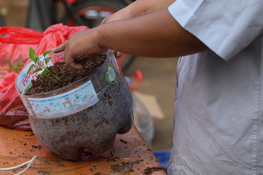 Kampanye Penggunaan Pupuk Hayati Kepada Petani Cabai Di Malang Guna Tanggulangi Kerusakan Tanah