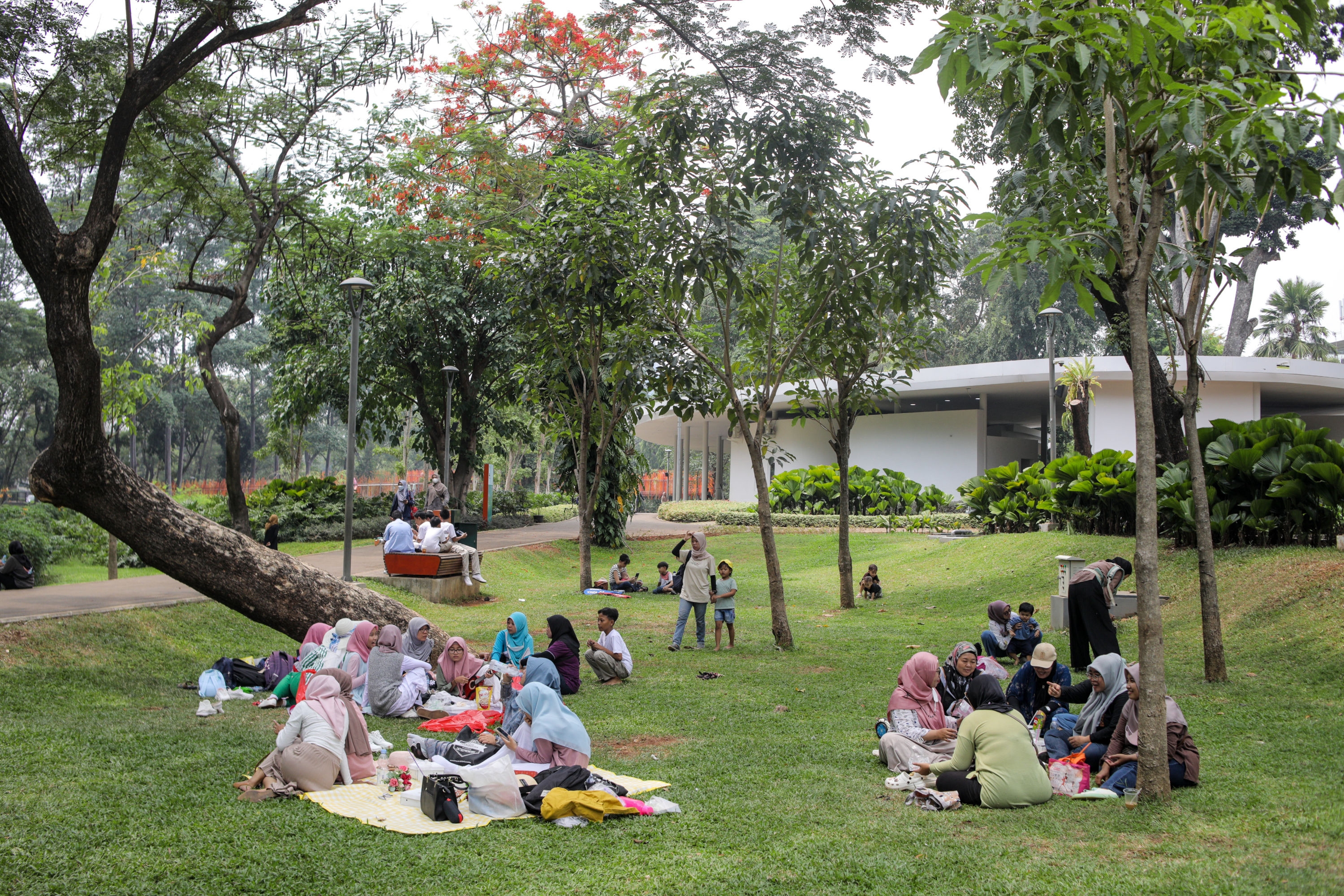 Tahun-tahun Awal Masa Kanak-kanak Waktu Penting Mengenal Ruang Hijau