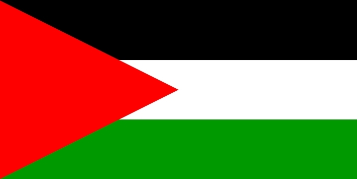 Viral Bendera Palestina 1924 Ada Gambar Bintang Daud Mirip Israel, Cek Fakta!