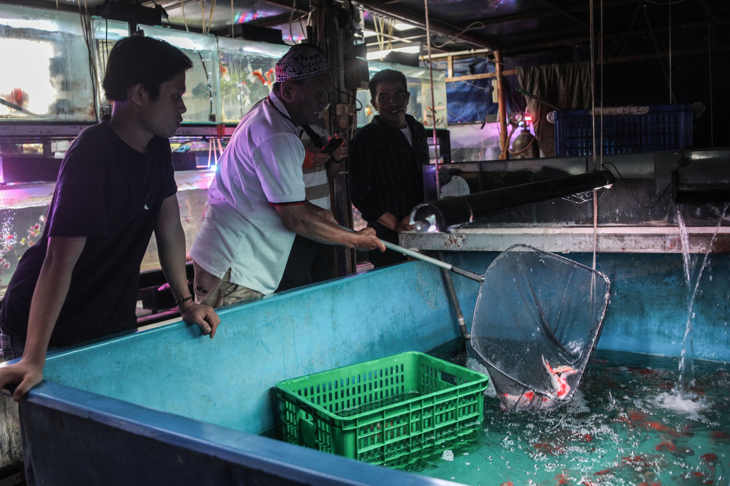 SnackVideo - KKP Kerjasama Optimalkan Pemasaran Digital UMKM Perikanan