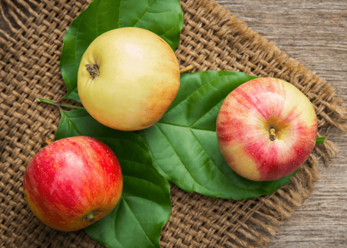 5 Makanan Ini Mendukung Kecantikan, Bisa Bikin Awet Muda!