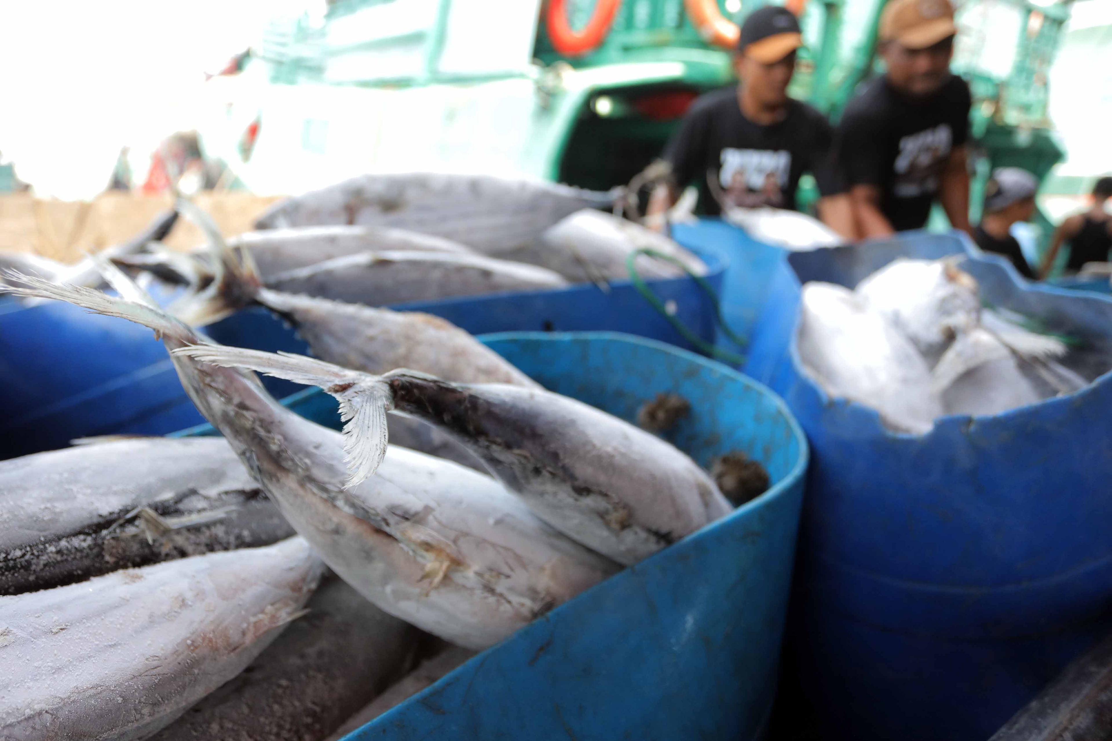 Penolakan Produk Perikanan RI di Uni Eropa Kurang dari 1 Persen