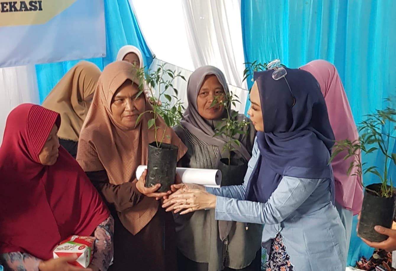 Redam Kenaikan Harga, Ingrid Inisiasi Gerakan Budi Daya Cabai di Rumah Warga