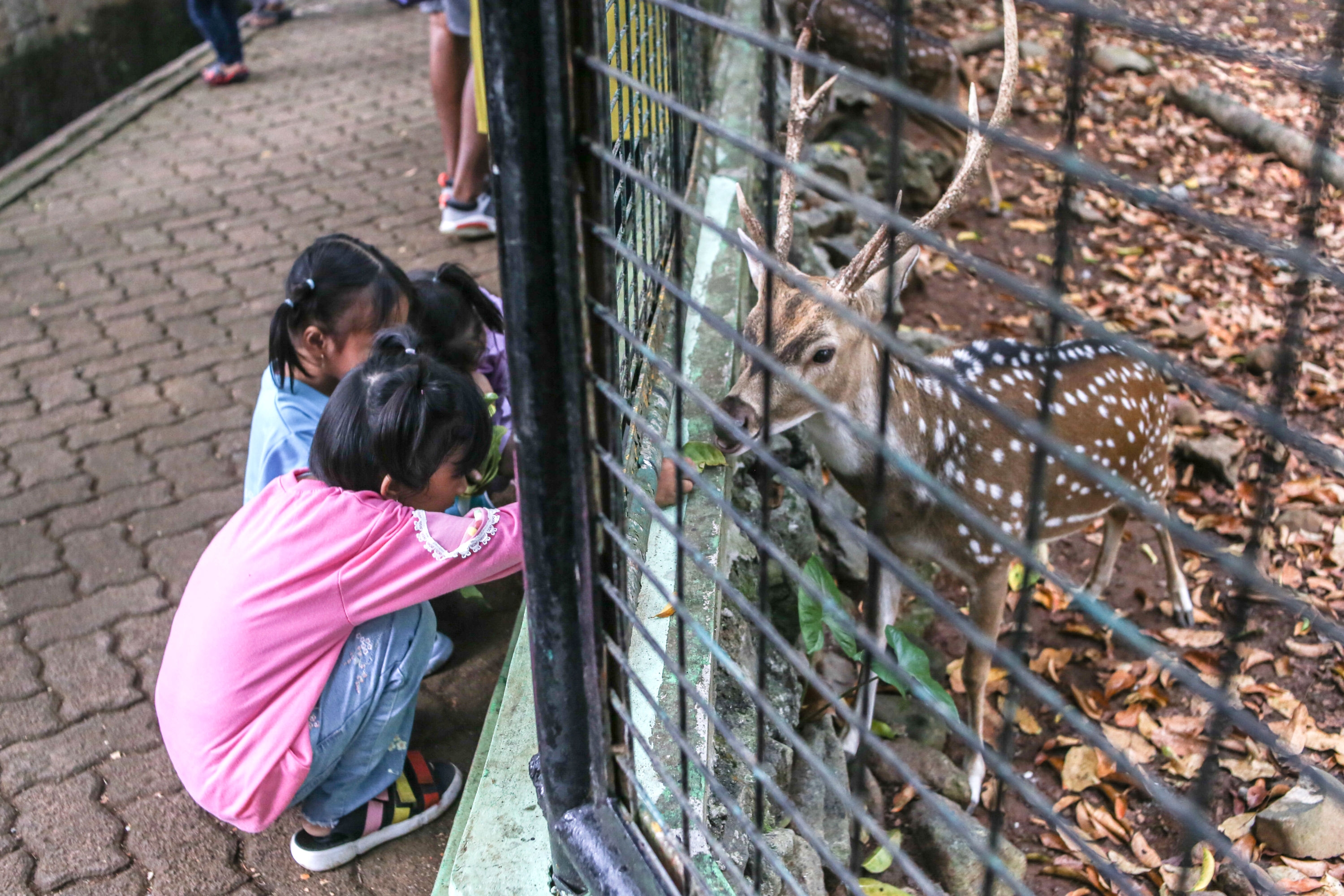 Bagaimana Cara Memberikan Dorongan Kepada Teman Kita untuk Beramal Baik dan Menjauhi Amal yang Buruk?