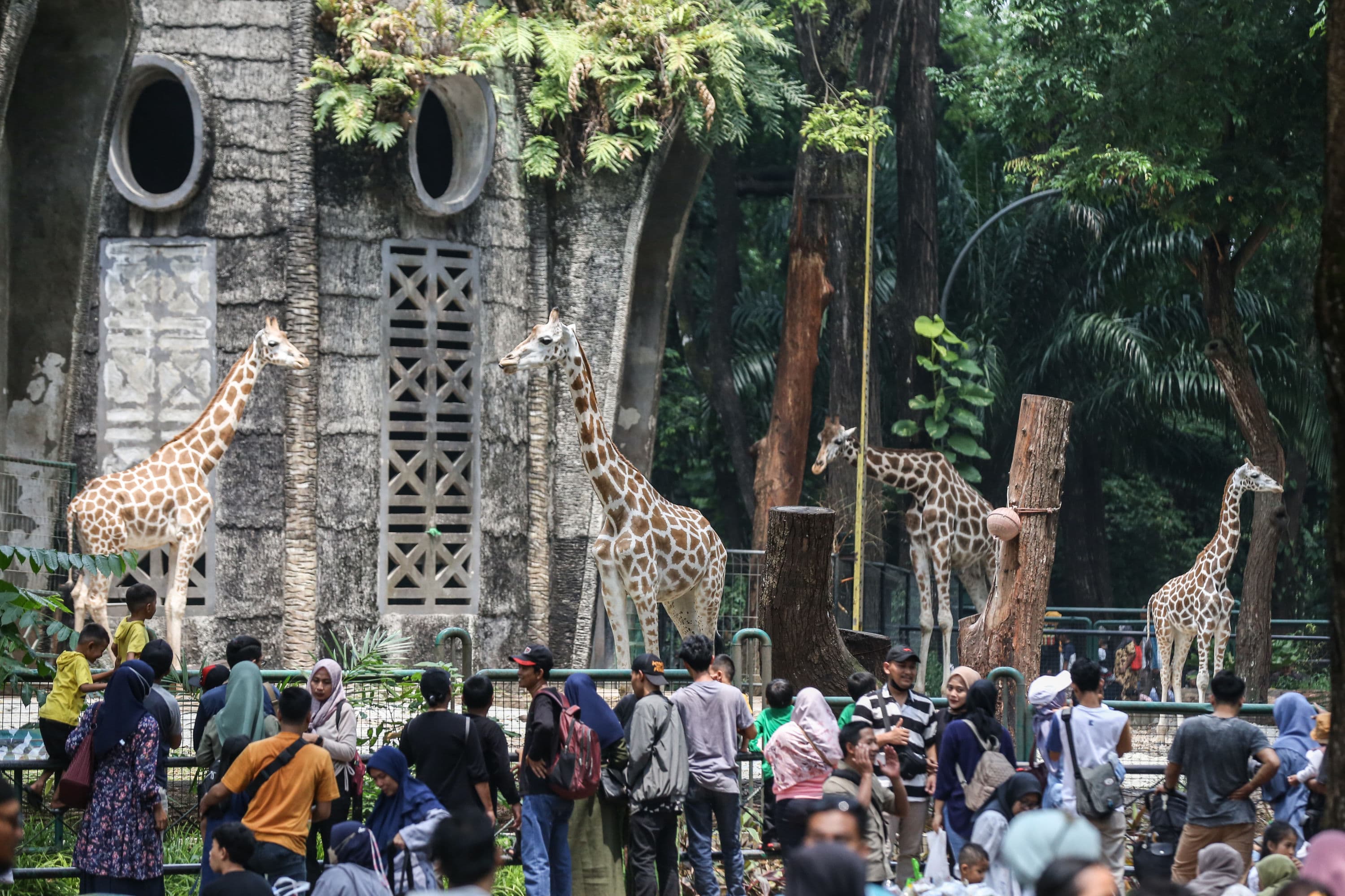 Cara Beli Tiket Ragunan Online dan Offline Selama Waktu Liburan Sekolah