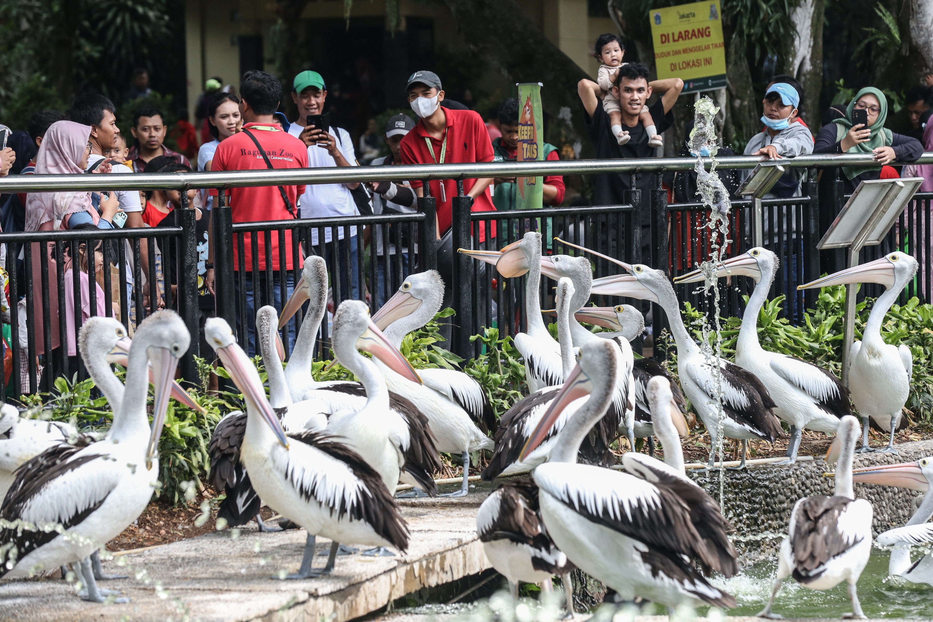 Pengunjung Kebon Binatang Ragunan Mencapai Puncaknya Hari Ini