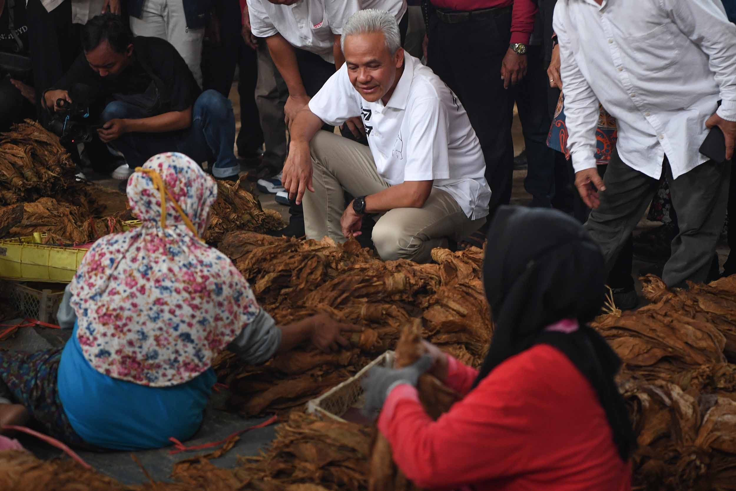 P3M Sebut PP 28/2024 Langgar Hak Ekosob Ekosistem Pertembakauan