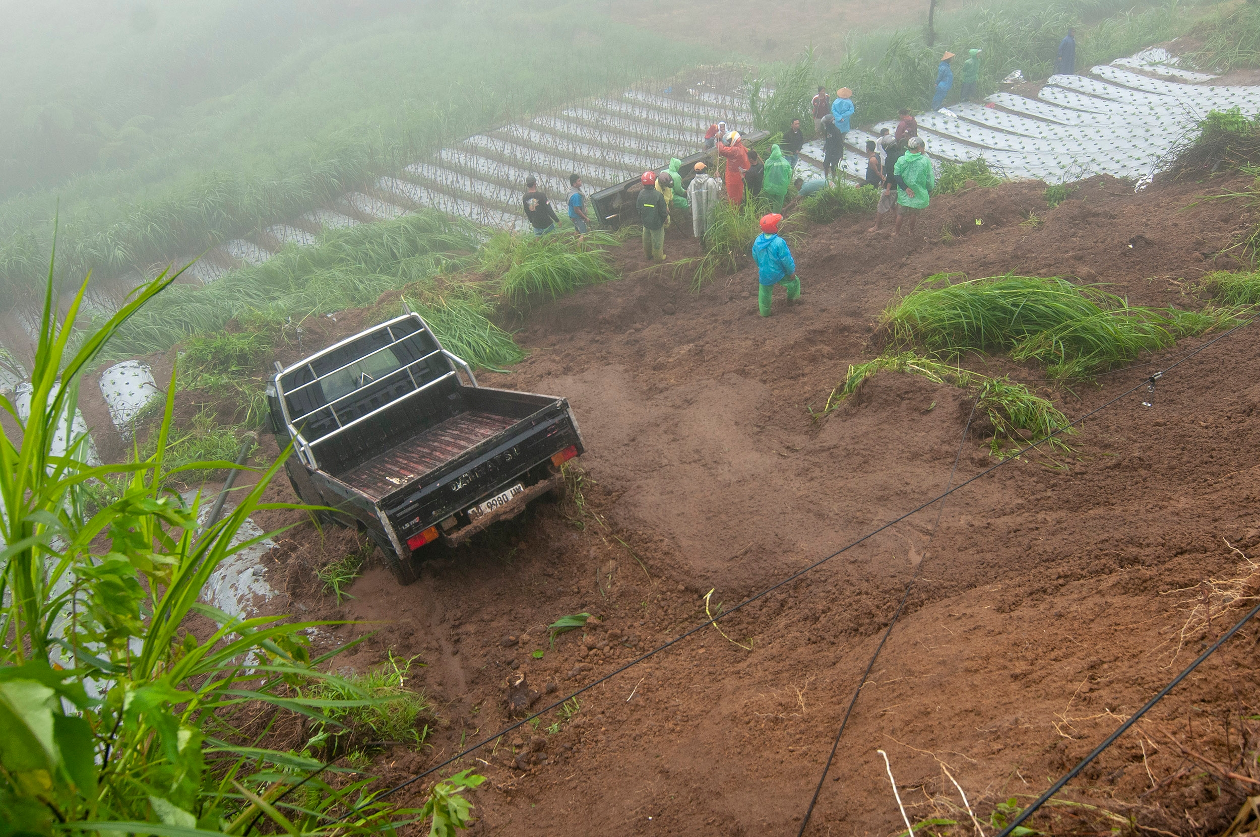 Mengapa Tanah yang Tidak Tertutup Vegetasi Lebih Mudah Mengalami Erosi?