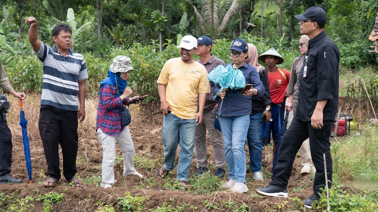 Kementan Tinjau Irigasi Perpompaan Kelompok Tani di Sukabumi