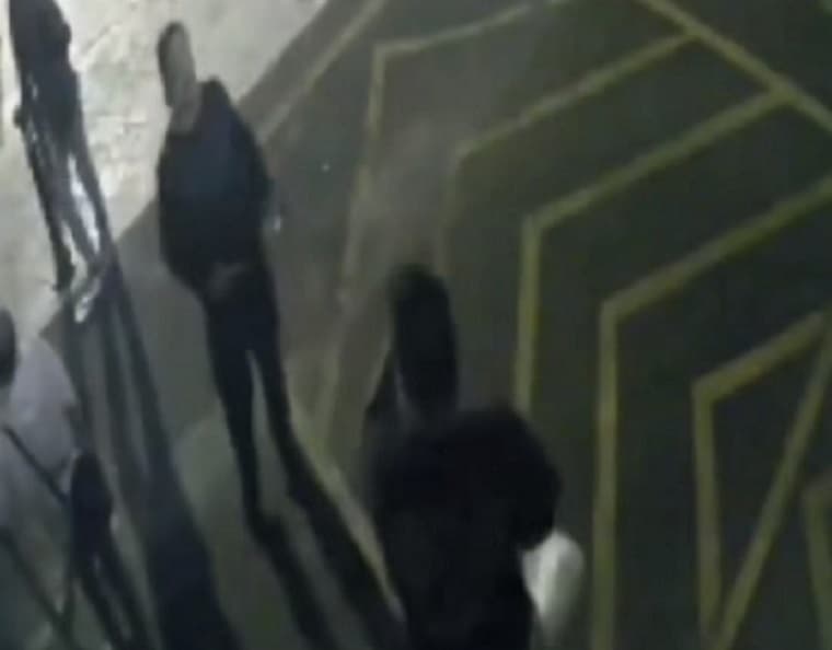 Viral di Medsos, Diduga Mantan Suami Dina Lorenza Tembaki Teman Sendiri