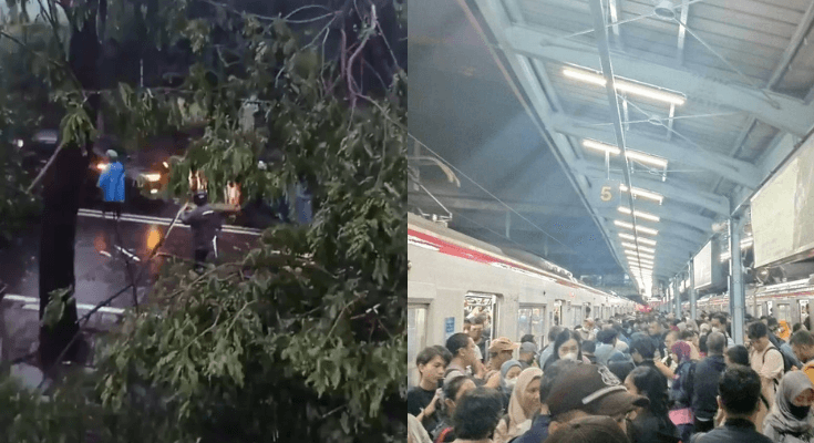 Viral Pohon Tumbang di Jalur Stasiun Pondok Ranji-Kebayoran, Ini Rekayasa Rute KRL Arah Rangkasbitung yang Terganggu