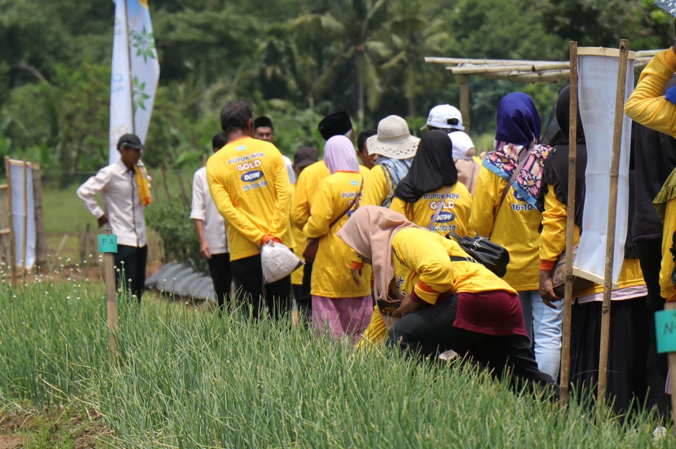 Stabilitasasi Harga Pangan, DGW Group Bantu Ribuan Petani Akses Sarana Pertanian Terjangkau