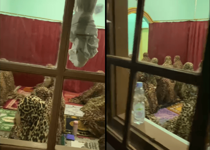 VIRAL Ibu-ibu Kompak Pakai Mukena Motif Macan Tutul saat Tarawih, Tuai Komentar Lucu Netizen