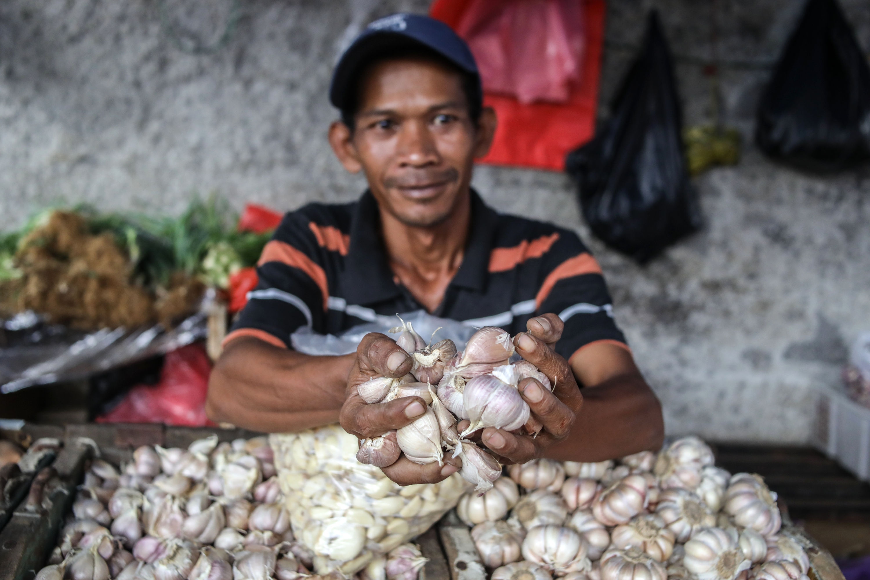 Hari Ini Harga Bawang Putih Capai Rp40.620 per Kilogram