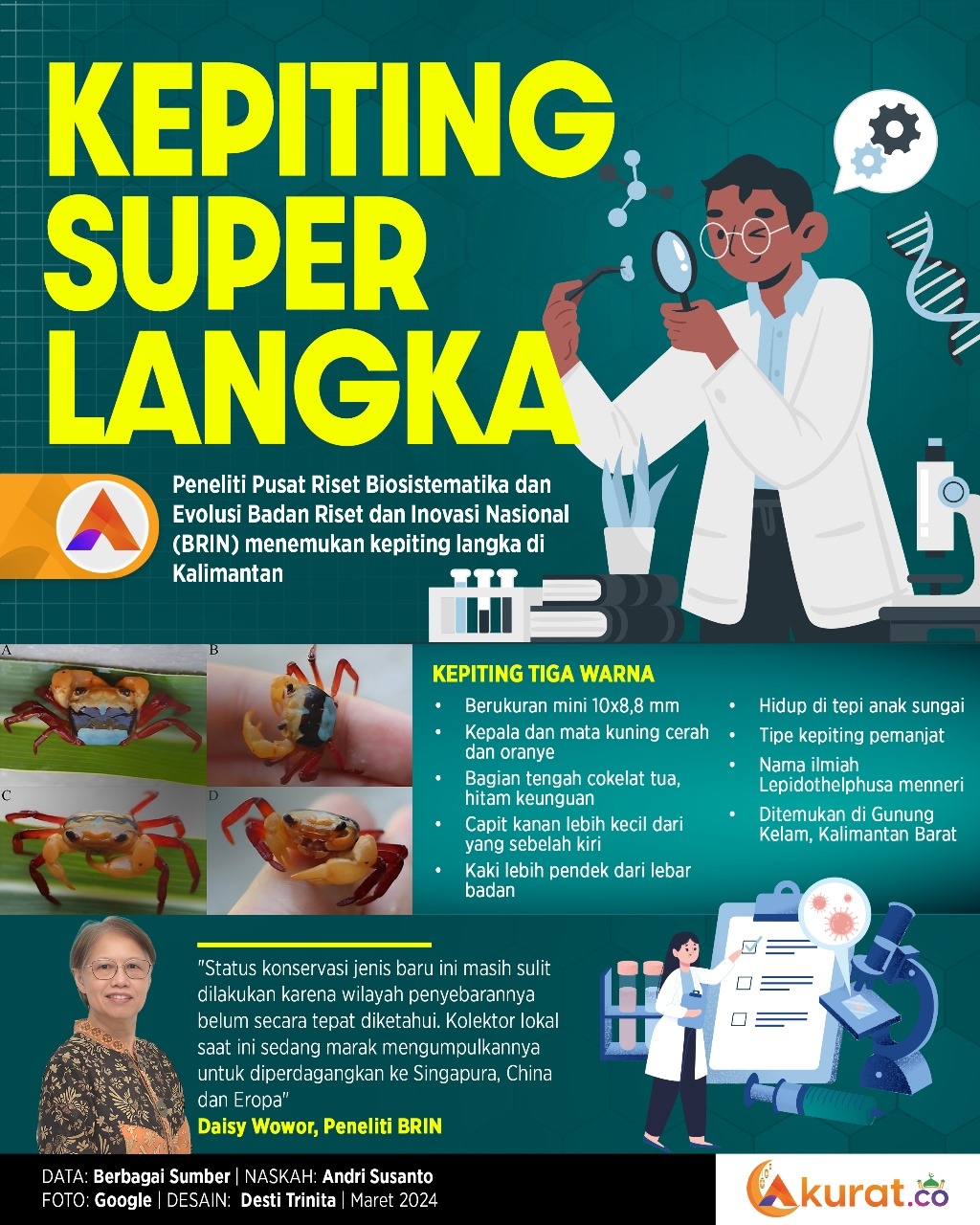 Kepiting Super Langka