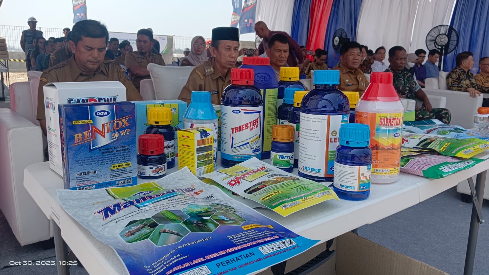 Jaga Produktivitas Padi, Petani Perlu Waspadai Hama Ini