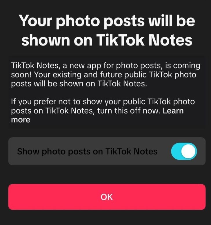 TikTok Notes, Aplikasi Baru untuk Berbagi Foto yang Bakal Jadi Saingan Instagram