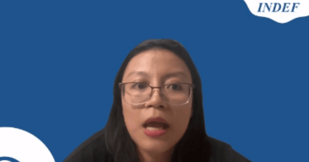 APBN 2026 Patok Pertumbuhan Ekonomi 5,4 Persen, Indef: 5 Persen Realistis