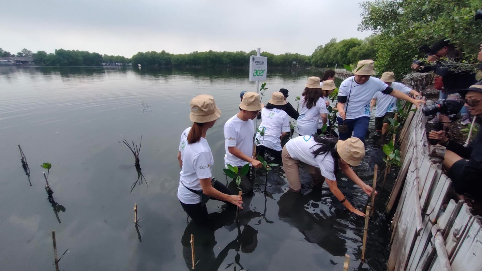Lanjutkan Komitmen Keberlanjutan, Acer Indonesia Lakukan Penanaman Ribuan Mangrove