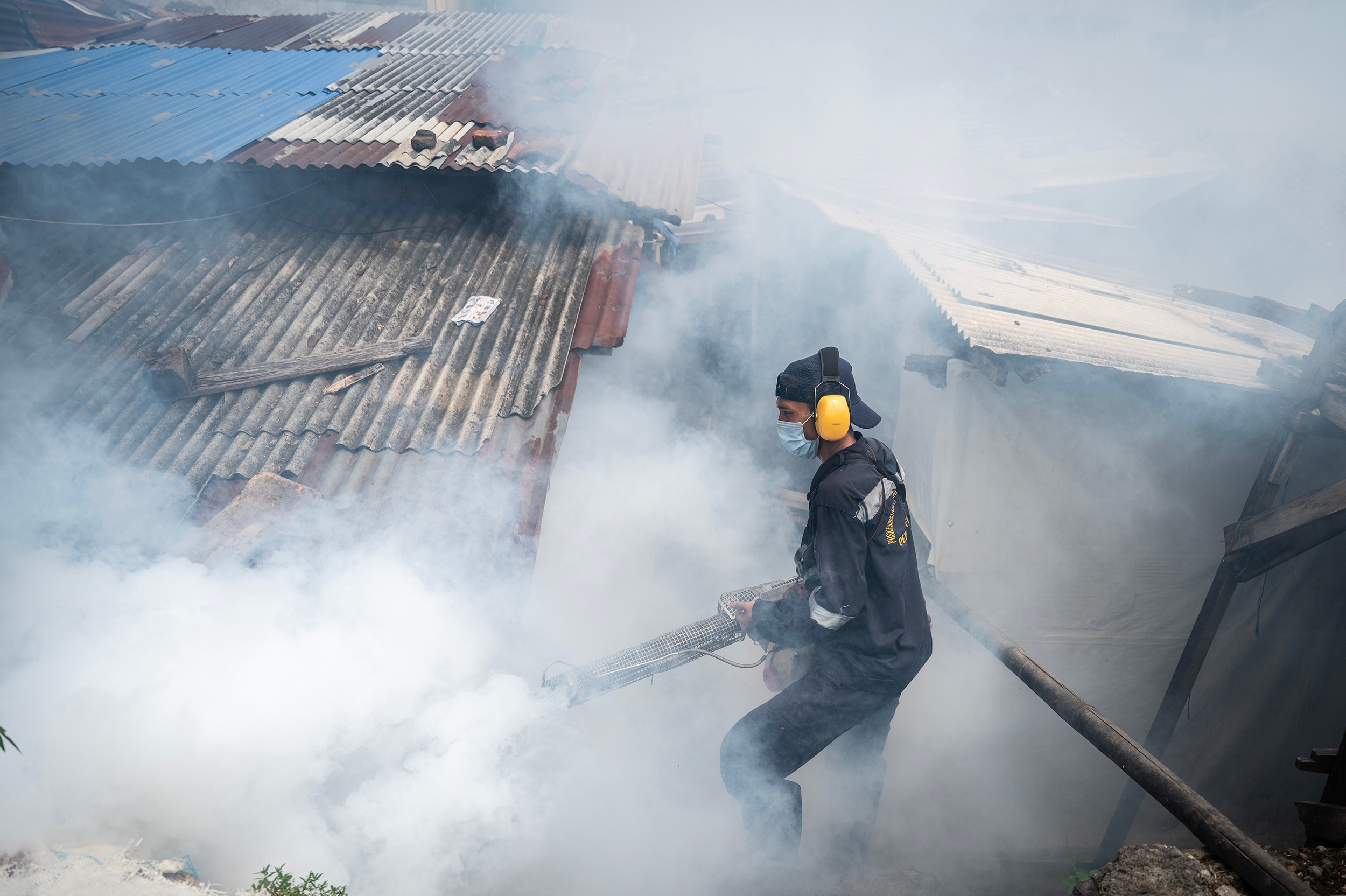 Soroti Penanganan DBD di Jakarta, DPRD: Fogging Baru Dilakukan Jika Sudah Ada Korban