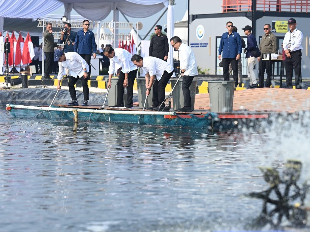 Permintaan Ikan Nila di Pasar Dunia Sangat Besar, Jokowi: Harus Kita Manfaatkan
