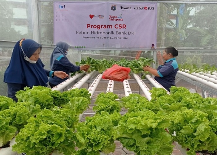 Aktif Dorong Pembangunan Berkelanjutan Lewat TJSL, Bank DKI Sabet Penghargaan Indonesia Best CSR Award 2024