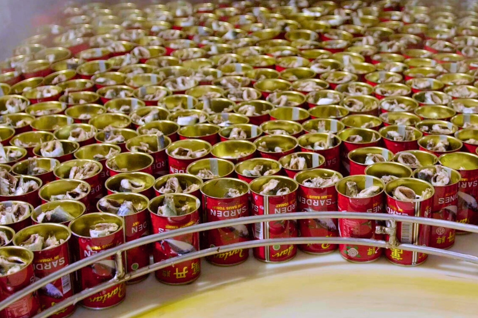 KKP Dorong Stakeholder Optimalisasi Hilirisasi Ikan Kaleng